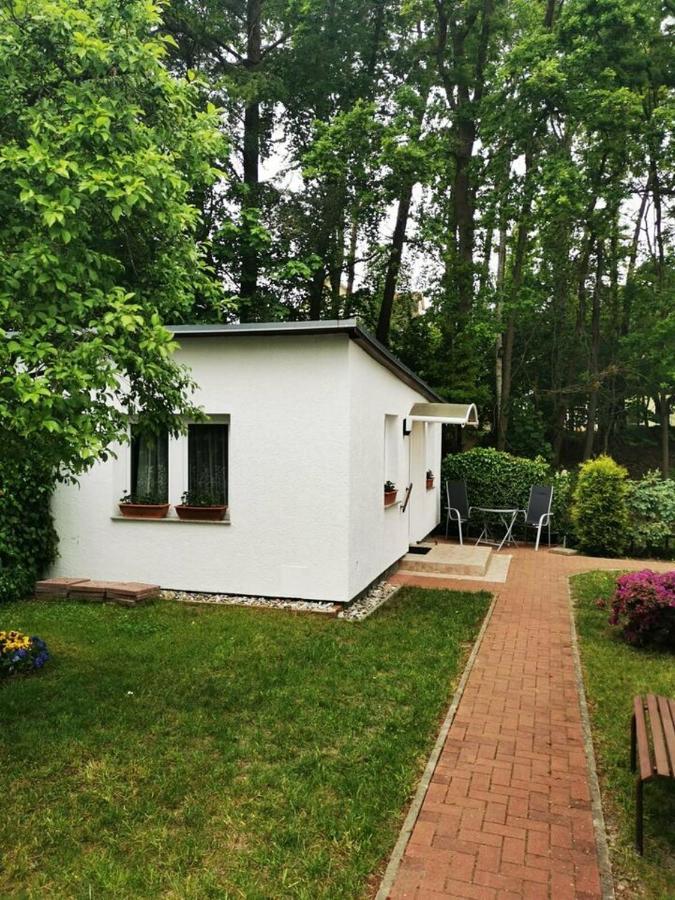 Ferienbungalow Im Igelbau Бабе Екстер'єр фото
